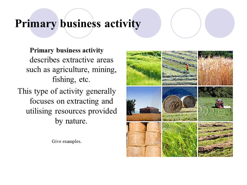 Primary business activity Primary business activity describes extractive areas such as agriculture, mining, fishing,